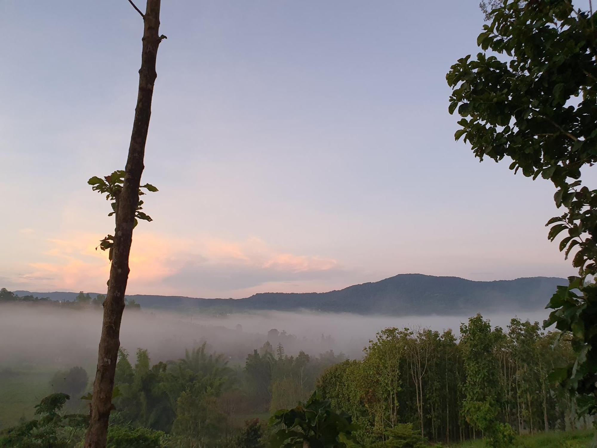 One&only Homestay