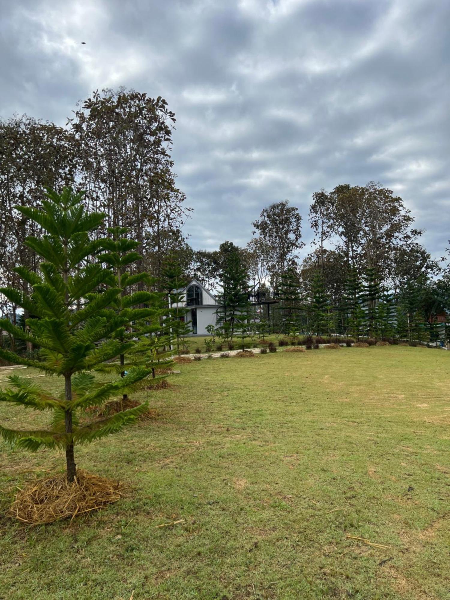One&only Homestay